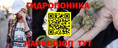 скорость Новокубанск