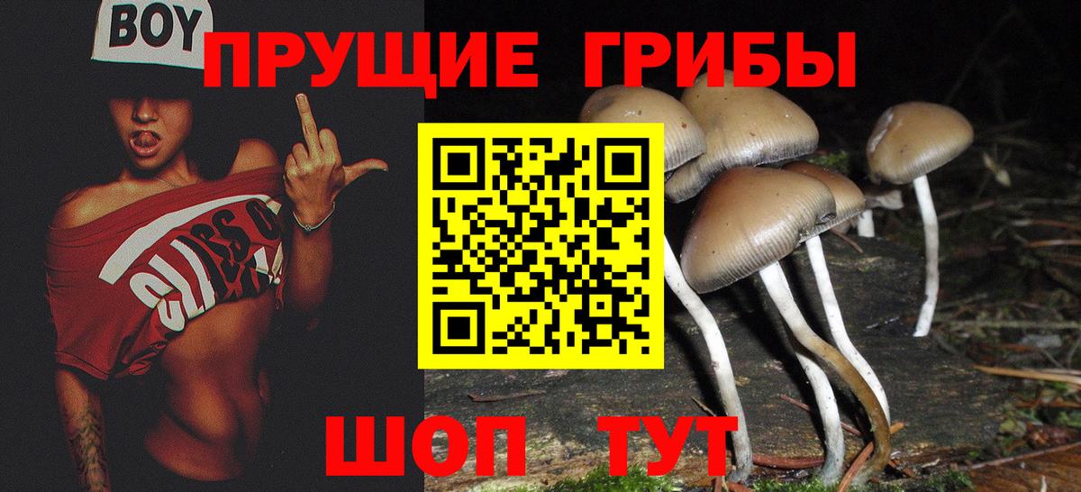 наркотики  Псилоцибиновые грибы Magic Shrooms  Вход с VPN  Шатура 