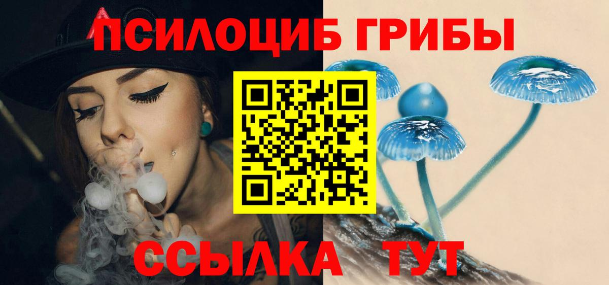 Псилоцибиновые грибы мицелий Шатура